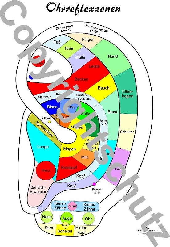 Ohrreflexzonen Übersichtskarte