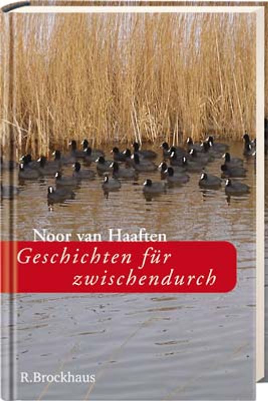 Geschichten für zwischendurch