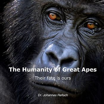 Humanity of Great Apes