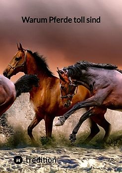 Warum Pferde toll sind