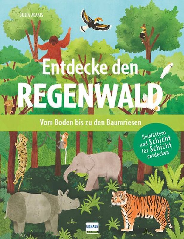 Entdecke den Regenwald - Vom Boden bis zu den Baumriesen