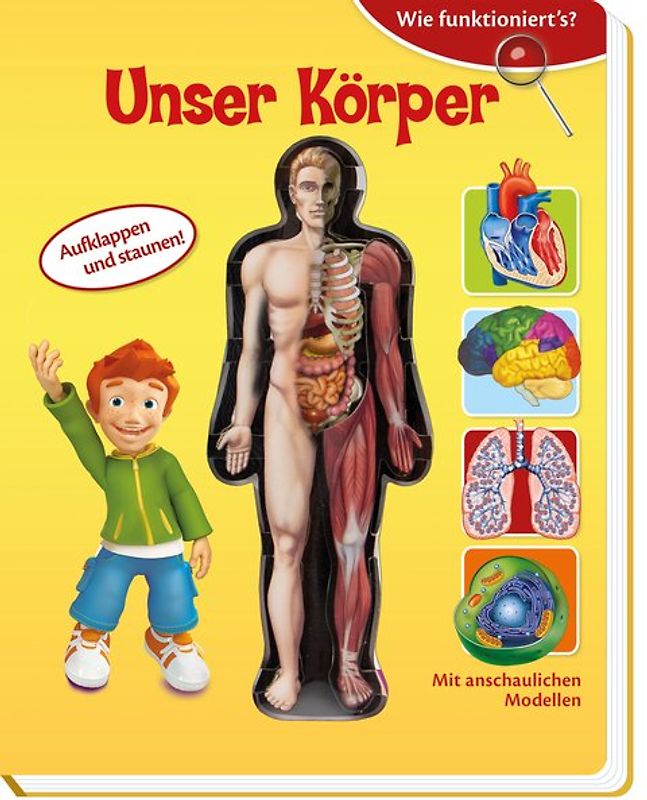 Trötsch Wie funktioniert´s? Unser Körper