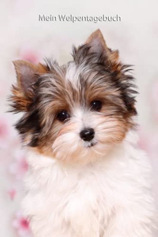 Mein Welpentagebuch: die ersten Monate mit meinem Biewer Yorkshire Terrier