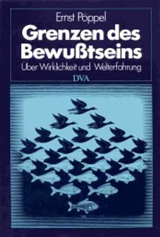 Grenzen des Bewusstseins. Über Wirklichkeit und Welterfahrung