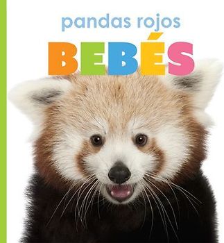 Pandas Rojos Bebés