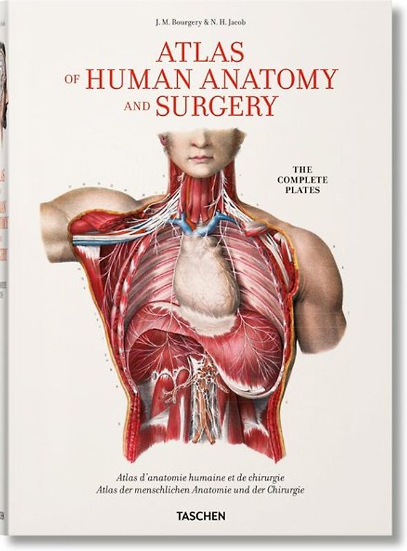 Bourgery. Atlas of Human Anatomy and Surgery