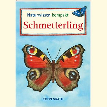 Naturwissen kompakt: Schmetterling