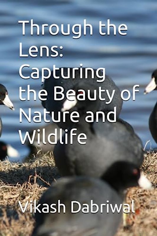 Through the Lens: Capturing the Beauty of Nature and Wildlife