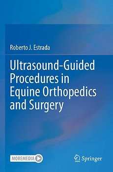 Ultrasound-Guided Procedures in Equine Orthopedics and Surgery