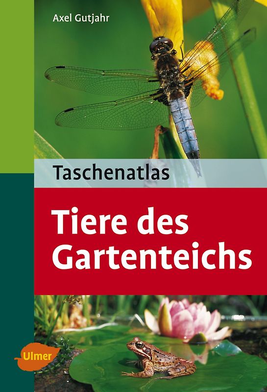 Tiere des Gartenteichs