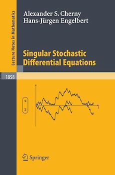 Singular Stochastic Differential Equations