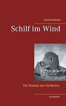 Schilf im Wind