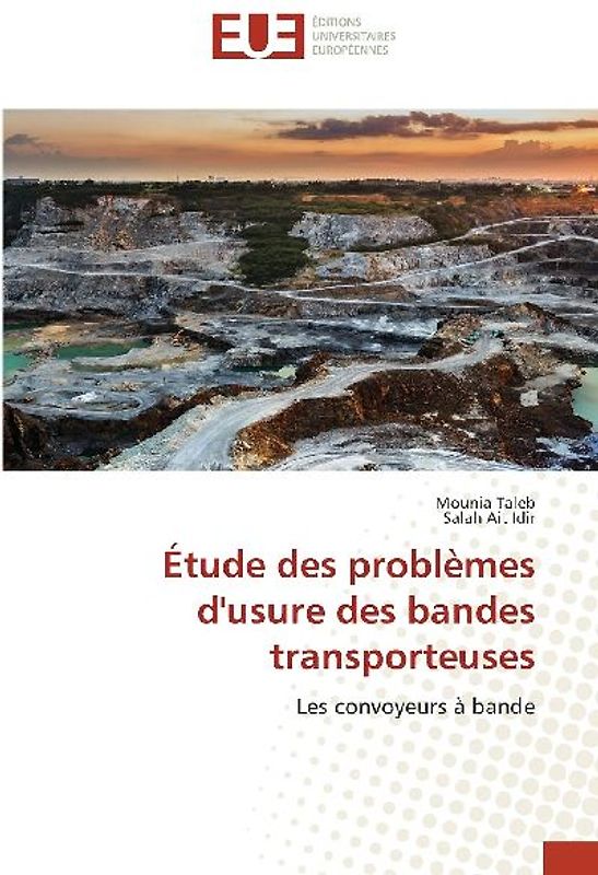 Étude des problèmes d'usure des bandes transporteuses