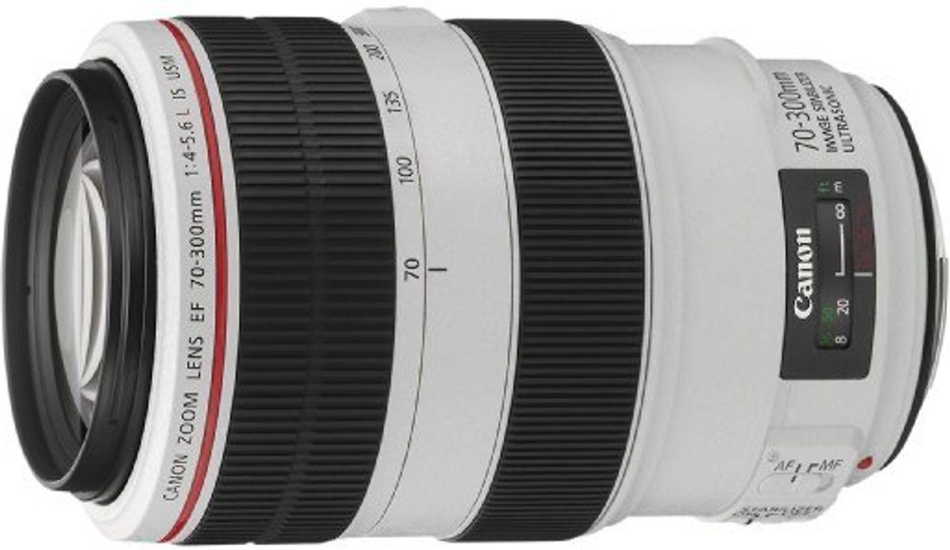 Canon EF 70-300 mm F4.0-5.6 IS L USM 67 mm Objectif (adapté à Canon EF) blanc