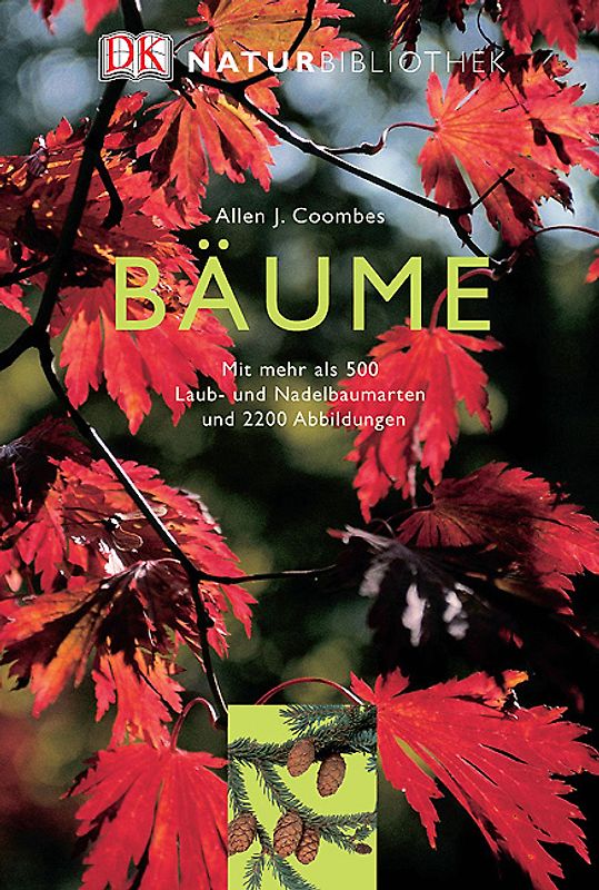 Bäume