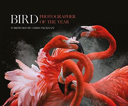 Bird Photographer of the Year