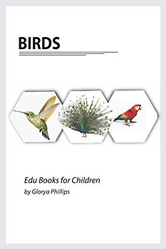 Birds: Montessori real birds book, bits of intelligence for baby and toddler, children’s book, learning resources. (Edu Books for Children, Band 4)