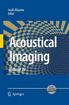 Acoustical Imaging
