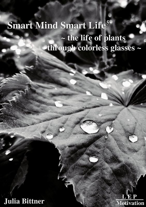 SMART MIND SMART LIFE⁵