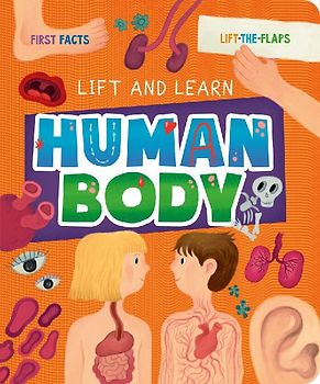 Human Body