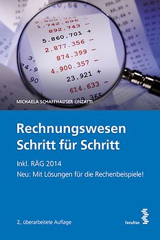 Rechnungswesen Schritt für Schritt