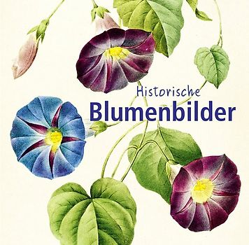 Historische Blumenbilder – Book To Go