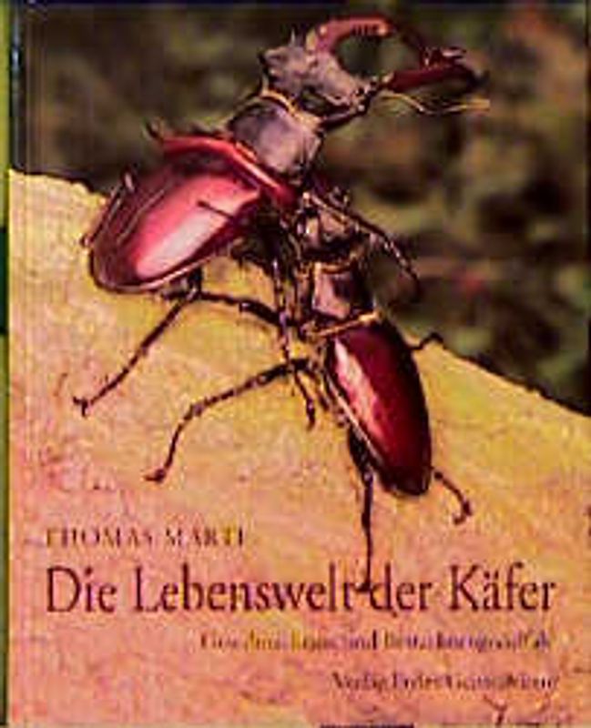Die Lebenswelt der Käfer. Gestaltreichtum und Betrachtungsvielfalt