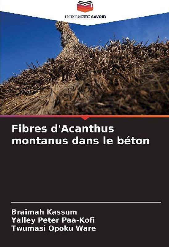 Fibres d'Acanthus montanus dans le béton