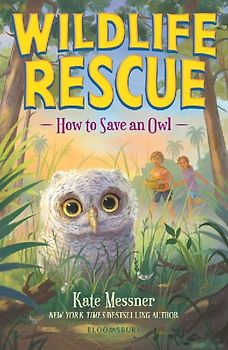How to Save an Owl