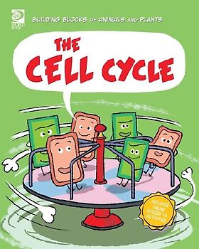 The Cell Cycle