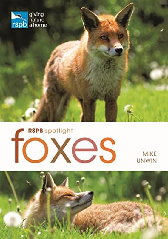 RSPB Spotlight: Foxes