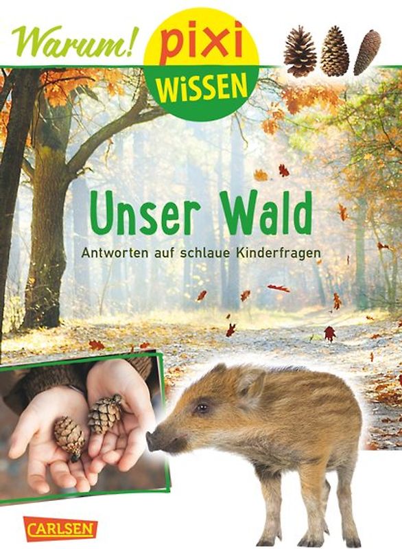 Pixi Wissen 93: Unser Wald (mit Fotos)