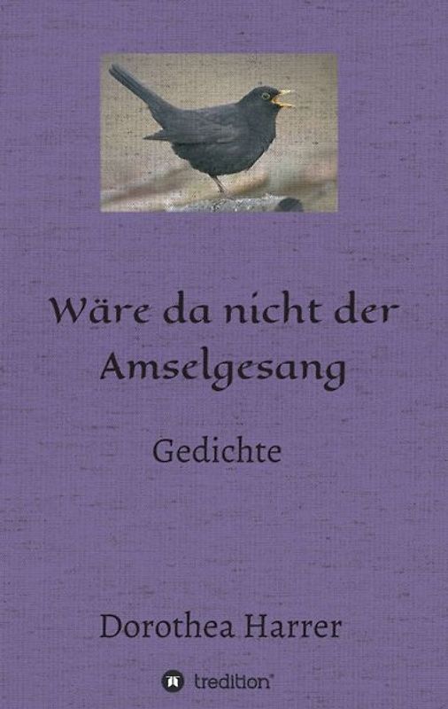 Wäre da nicht der Amselgesang
