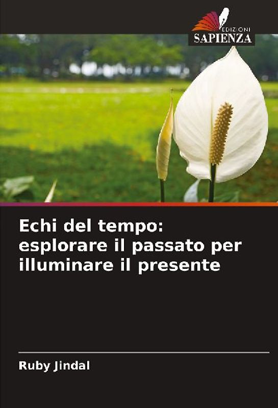 Echi del tempo: esplorare il passato per illuminare il presente