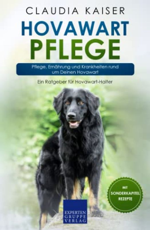 Hovawart Pflege: Pflege, Ernährung und Krankheiten rund um Deinen Hovawart