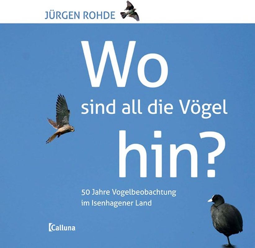 Wo sind all die Vögel hin?