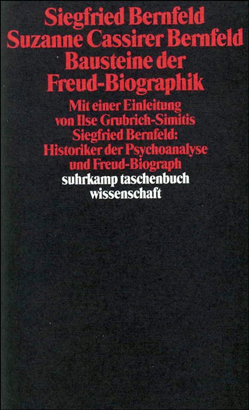 Bausteine der Freud-Biographik