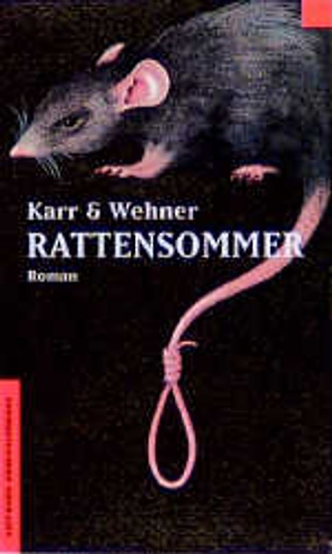 Rattensommer. Roman
