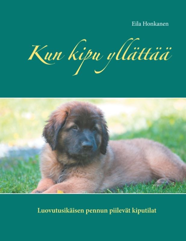 Kun kipu yllättää