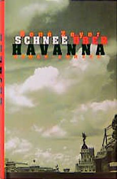 Schnee über Havanna. Roman