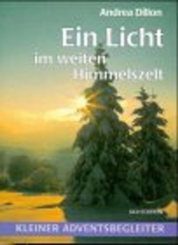 Ein Licht im weiten Himmelszelt