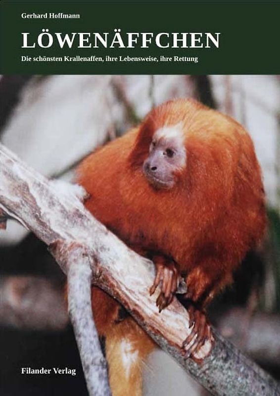 Löwenäffchen