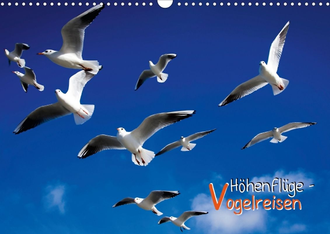 Höhenflüge – Vogelreisen (Posterbuch DIN A4 quer)