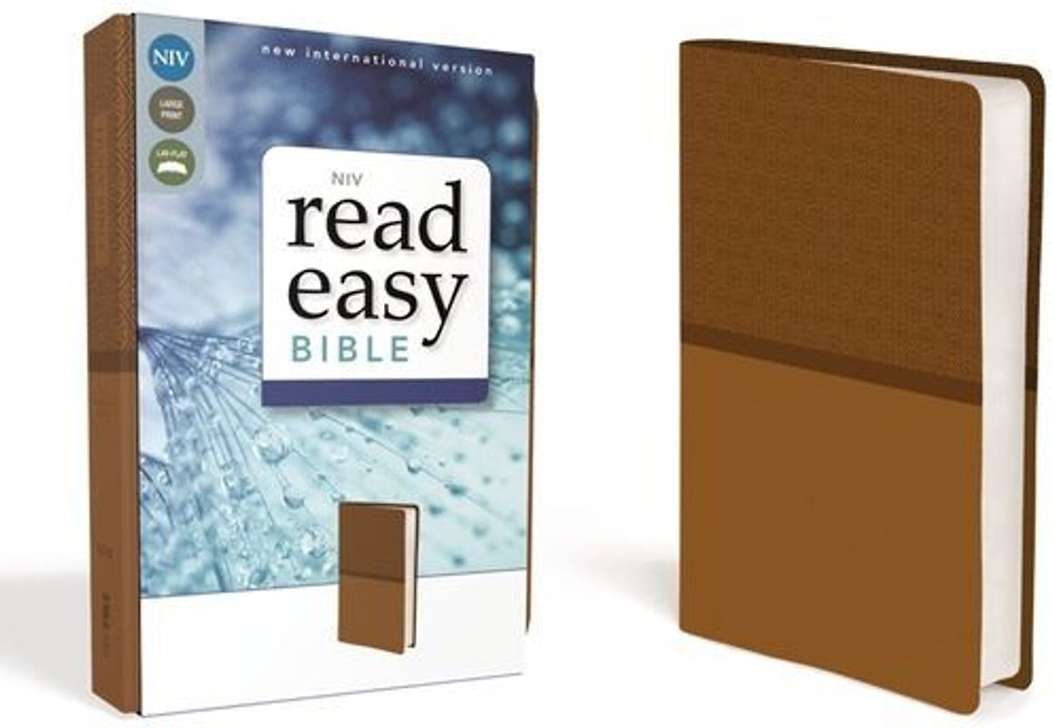 NIV Readeasy Bible