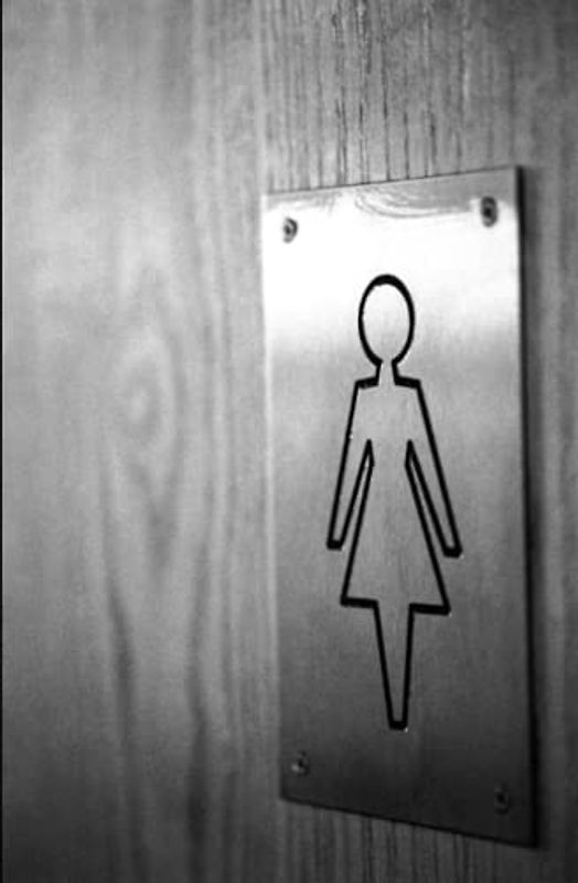 The Other Woman (A Forbidden Love)