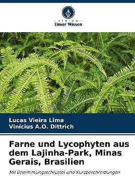 Farne und Lycophyten aus dem Lajinha-Park, Minas Gerais, Brasilien