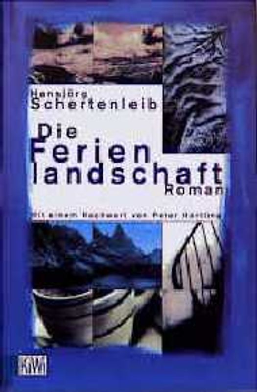 Die Ferienlandschaft. Roman