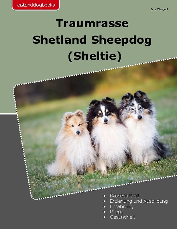 Traumrasse Shetland Sheepdog