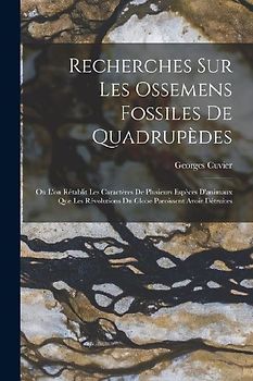 Recherches Sur Les Ossemens Fossiles De Quadrupèdes: Où L'on Rétablit Les Caractères De Plusieurs Espèces D'animaux Que Les Révolutions Du Globe Paroi