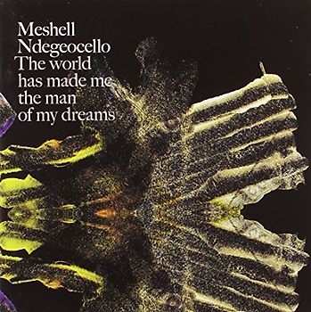 Meshell Ndegeocello - The World Has Made Me the Man of My Dreams